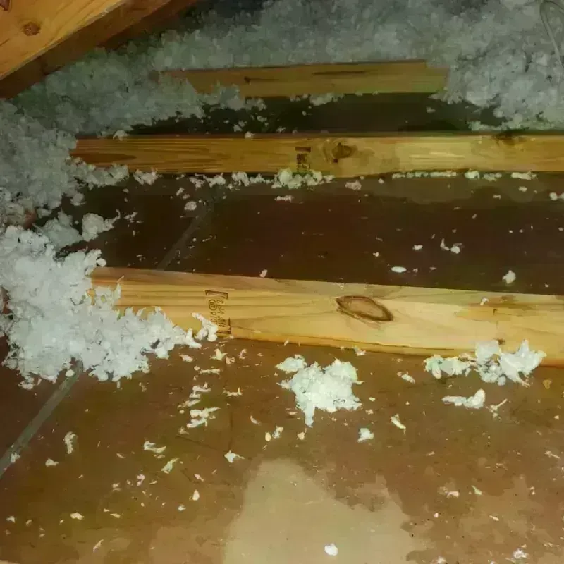 Attic Water Damage in The Crossings, FL