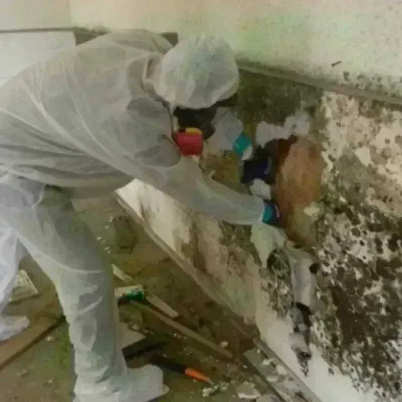 Mold Remediation and Removal in The Crossings, FL