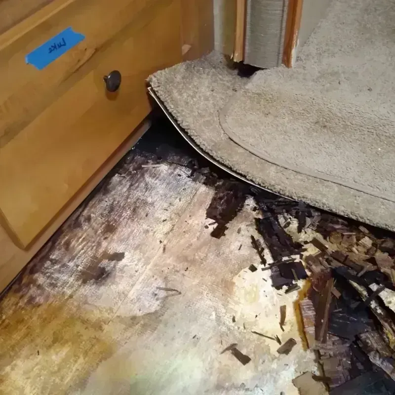 Wood Floor Water Damage in The Crossings, FL